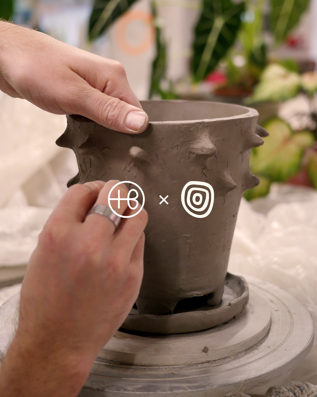 Level 0 | Make Your Own Planter