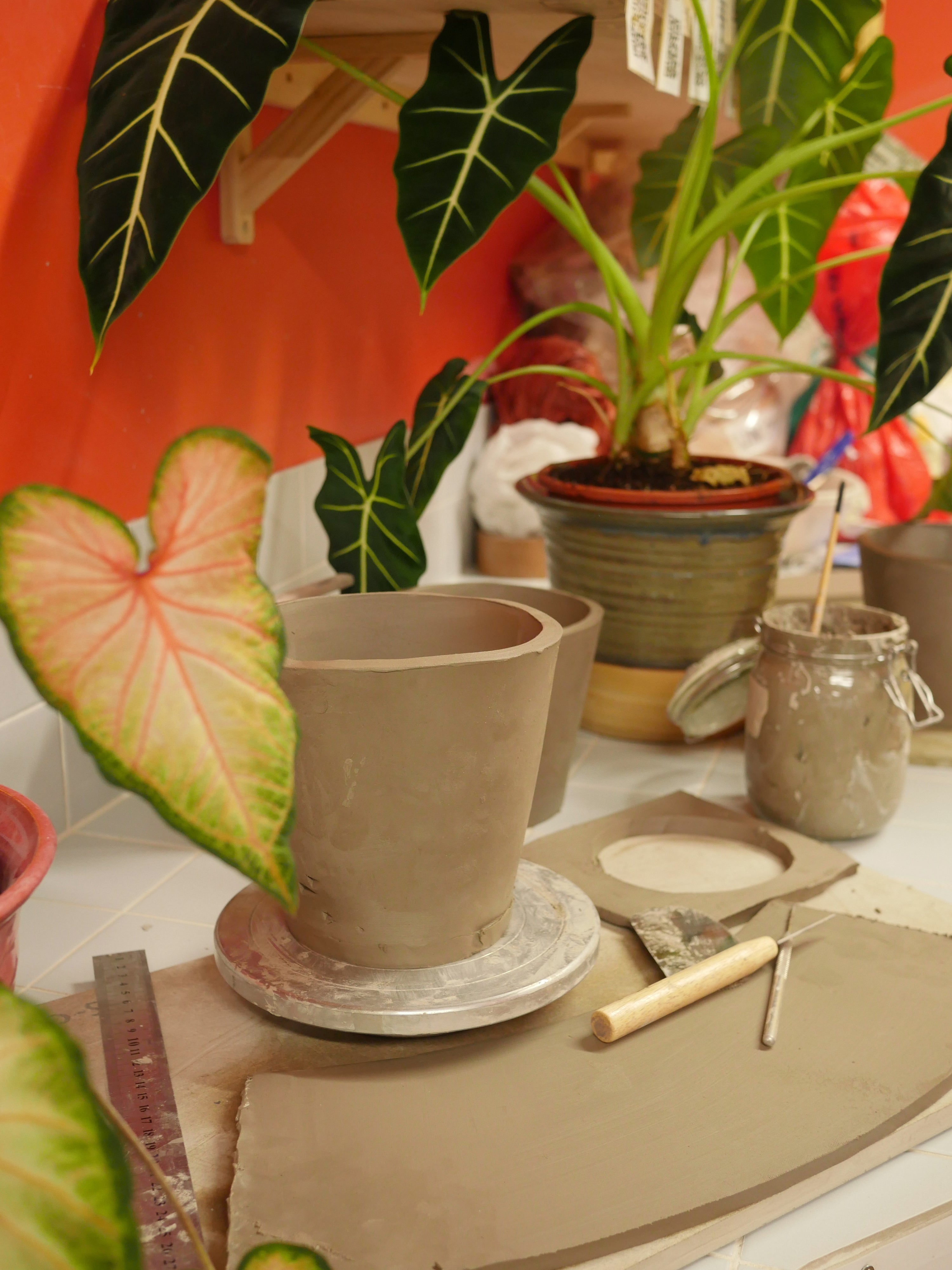 Level 0 | Make Your Own Planter