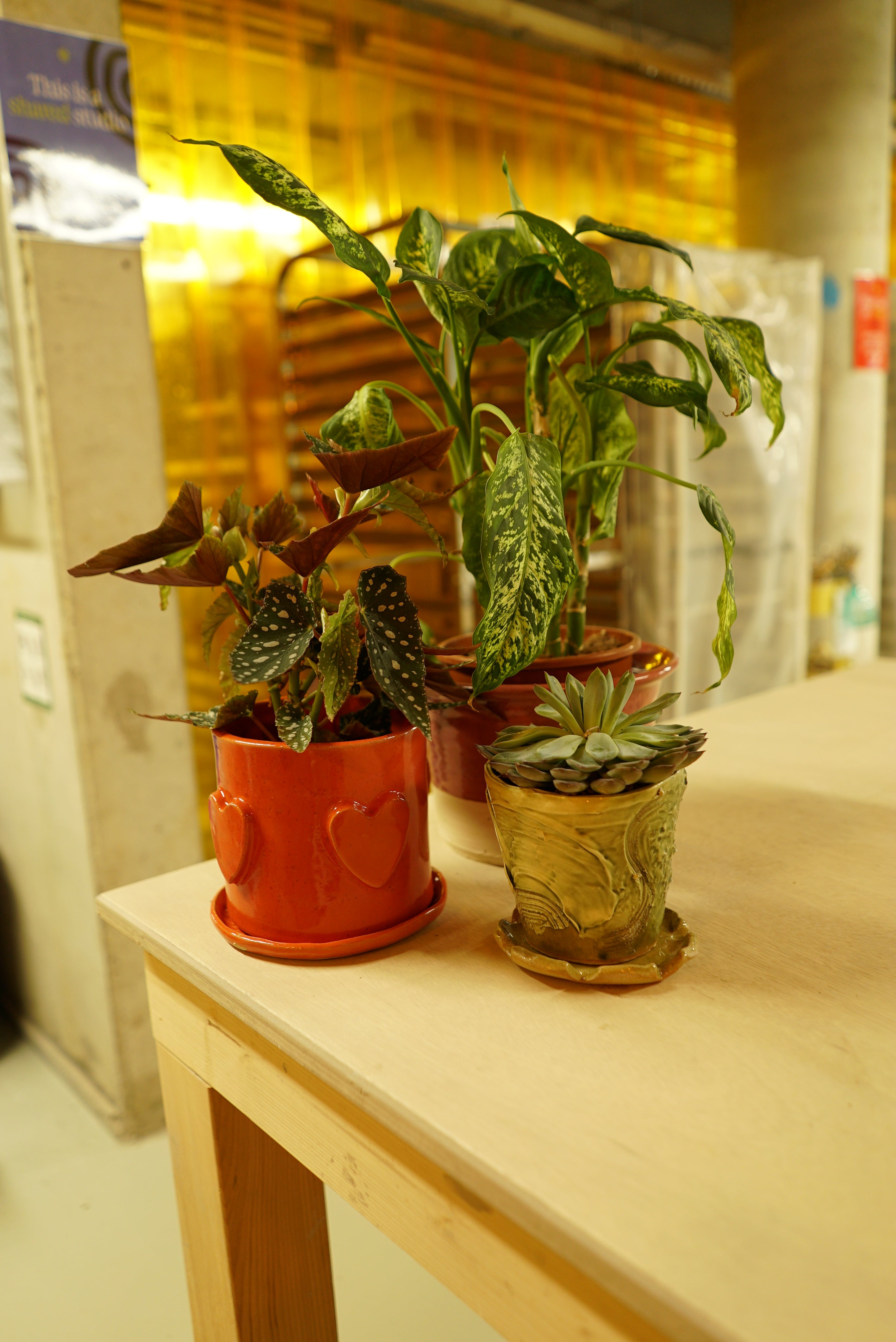 Level 0 | Make Your Own Planter