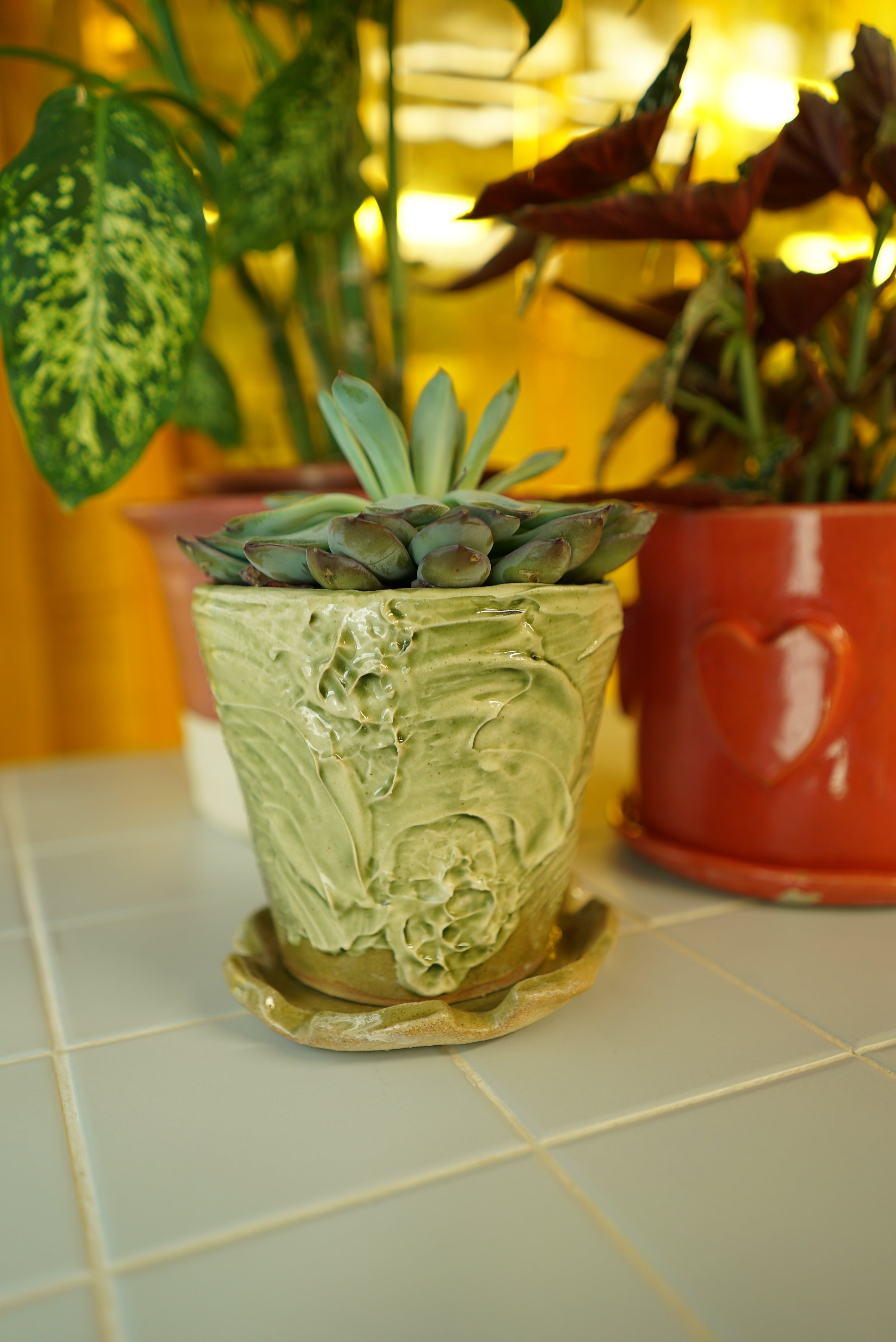 Level 0 | Make Your Own Planter