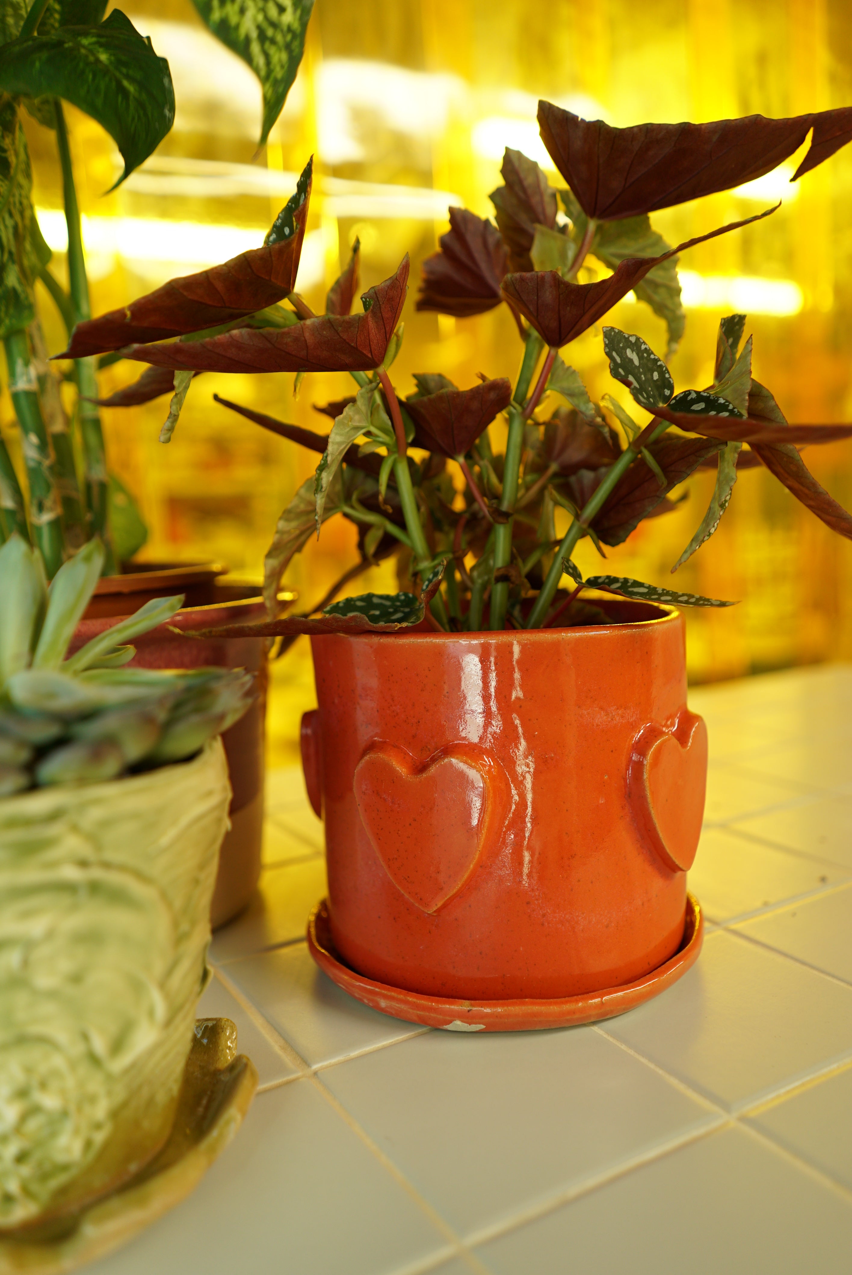 Level 0 | Make Your Own Planter