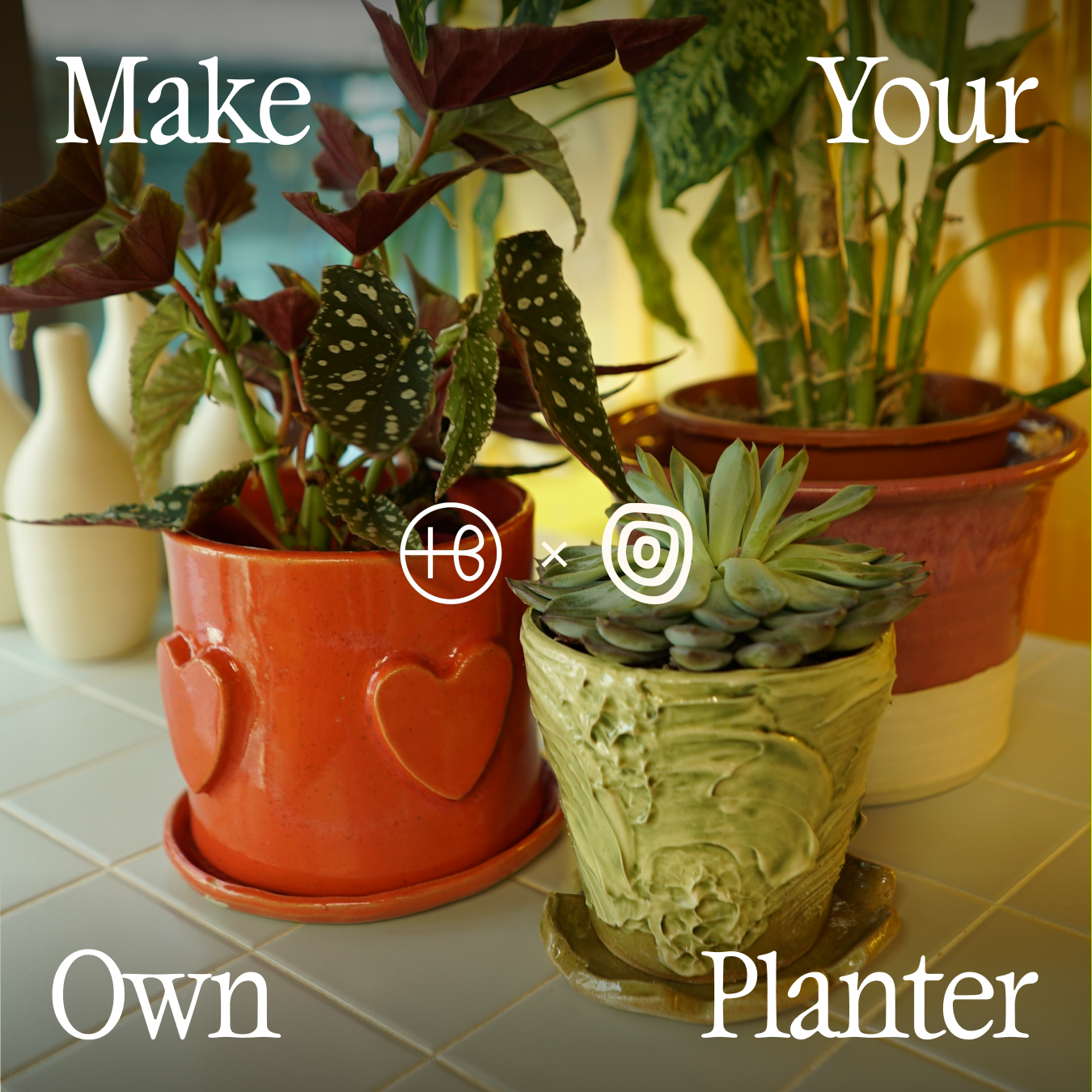 Level 0 | Make Your Own Planter